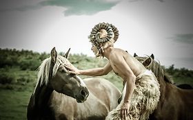 Photo de Terre de Cirque: COMPAGNIE DE SPECTACLE DE RUE /HAUTE GARONNE