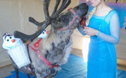 Photo de Rennes du Père Noel : ARBRE DE NOEL,SPECTACLE AVEC ANIMAUX / 82