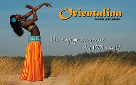 Photo de Orientalina. Soiree mille et une nuits - Orientale - Bordeaux