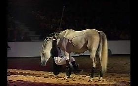 Photo de Olivier GARCIA - Spectacle Equestre - Montfavet