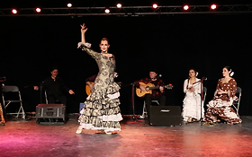 Photo de Flamenco i Ma' - Flamenco / Gypsy - Paris, Dijon, Lyon
