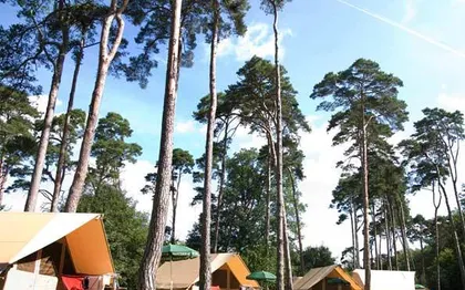 Photo de Huttopia Rambouillet - Hébergement 