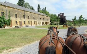 Photo de Location de calèche Ardennes Grand-Est / Les sabots du relais 