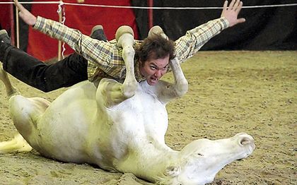 Photo de Cie Andjaï - Spectacle Equestre Médiéval et western - Ariège