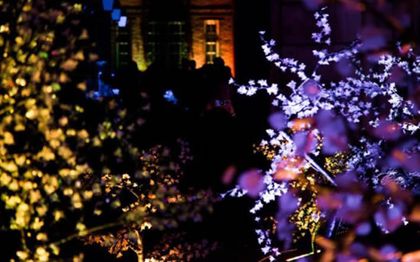 Photo de Location d'éclairage et de décoration lumineuse / AC2 PRO LYON RHONE