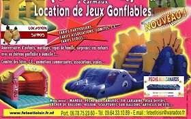 Photo de Fete et Loisir - Structures Gonflables / Albi - Castres - Rodez Tarn