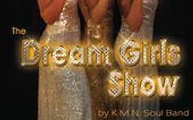 Photo de THE DREAM GIRLS SHOW - SHOW VARIETE 