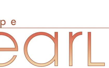 Photo de GROUPE PEARL - BARS - RESTAURANTS - DISCOTHEQUES - CLUBS pour l'EVENEMENTIEL - PARIS 