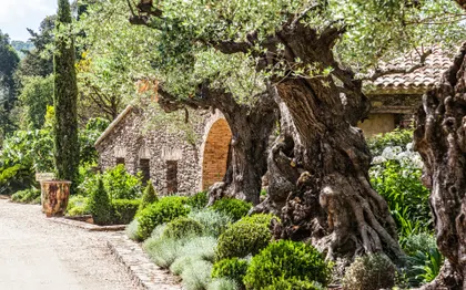 Photo de Domaine les Mésanges Chambre d'Hôtes, evénementiel