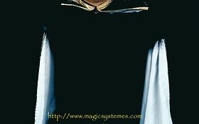 Photo de MagicSysteM - DJ - MAGICIEN - SCULPTEUR DE BALLONS - TOULOUSE 