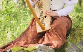 Photo de Cécile Branche, chanteuse et harpiste