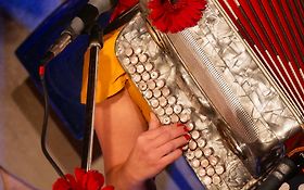 Fresh Guinguette
Conteuse, Chanteuse, Accordéoniste
Merlenchanteuse - Isère