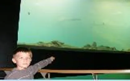 Photo de AQUARIUM DE LYON - Traiteur Lyon - Location de Salle de Réception 69