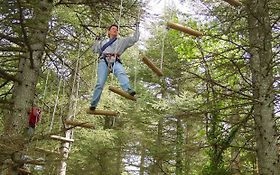 Photo de AOUBRE L'AVENTURE NATURE,   ACCROBRANCHE ET PARC NATURE à FLASSANS