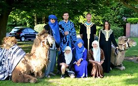 Photo de Location chameau dromadaire animaux ferme exotique:La camelerie / NORD
