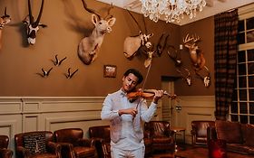 Photo de Violoniste pour événement / Hauts-de-Seine