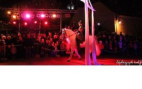 Photo de Aérial Dream - Numéro de tissu aérien / Aquitaine