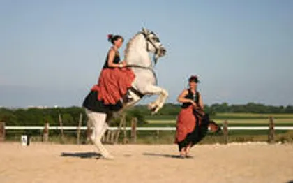 Photo de Francois Tellier - Spectacle Equestre