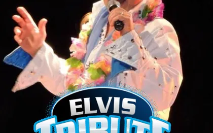 Photo de Rick Cavan Chanteur de Rock, show  hommage à Elvis  Presley 