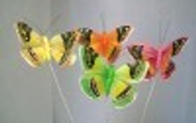 Photo de Comptoir des fleuristes - Grossiste Materiel de decoration - STRASBOURG
