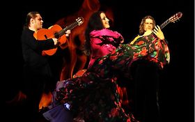 Photo de Diamant Tzigane, Musiciens et Chanteuse Russes Tziganes de Paris