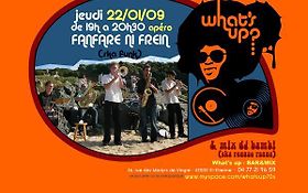 Photo de FANFARE NI FREIN - WORLD JAZZ - REGGAE - SKA - FUNK...LOIRE