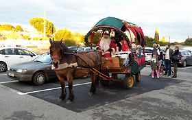 Photo de Calèche du père Noël : les Attel'age d'or / Aude