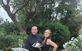 Photo de Chanteurs d'Opéra Faux-Serveurs - French Riviera Singing Waiters